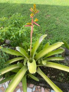 Petit havre de paix charmant et douillet - 1