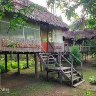 Antares Jungle Lodge - Miraflores - 4