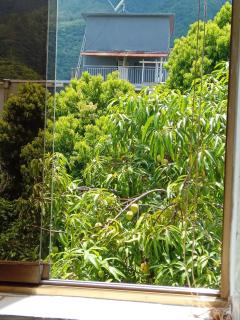 Executive type apartment of 35 meters Sebucan Ccs - Caracas - 2