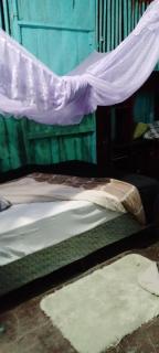 Hospedaje y jardín botánico - 2