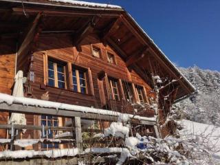 Chalet in Rougemont near Ski Slopes - Kalberhöni - 5