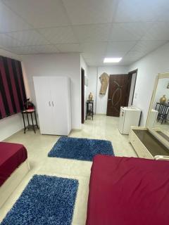 Elegant Furnished 1 Bedroom apartment in Giza - Il Cairo - 8