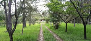 Large Estate in Valle de Angeles, Tegucigalpa - Valle de Ángeles - 3