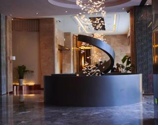 Tianyongge Art Hotel Shanghai Disney Store - Shanghai - 6