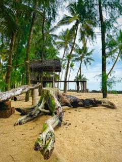 Serene island - Chāvakkād - 4