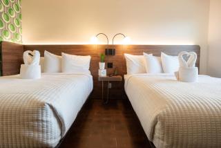 The Alice Hotel - Tucson - 5