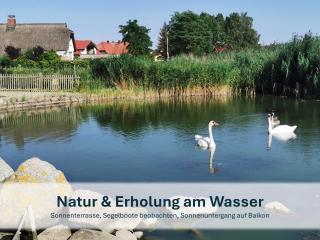 Ziemitz, Paradies am Peenestrom - Ziemitz - 7