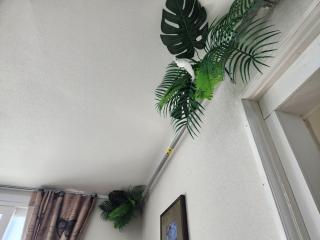 House of Gallery Hyomok - 8