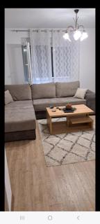 Apartman Sara - Vrnjačka Banja - 5