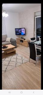 Apartman Sara - Vrnjačka Banja - 7