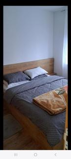 Apartman Sara - Vrnjačka Banja - 1