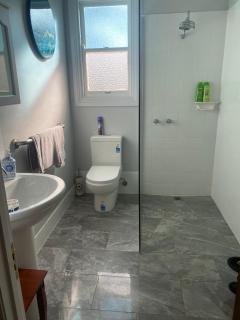 Rose gold cottage - Dunolly - 3