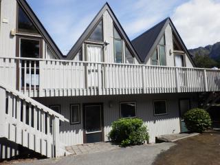 Wakatipu View Apartments - Queenstown - 9