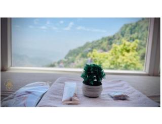 Hotel Diamond, Mussoorie - Mussoorie - 3