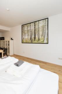 Große Ferienwohnung in der Altstadt - Würzburg - 2