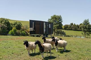 Hillside Hideout by Tiny Away - West Kentish - 8