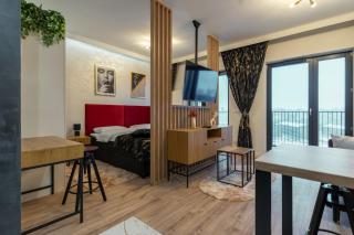 Spodek Lavish Studio - Katowice - 1