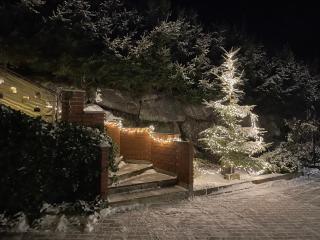Apartment Schlager Maria - - 2
