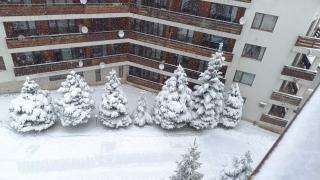 Studio Detelina Residence - Bansko - 2