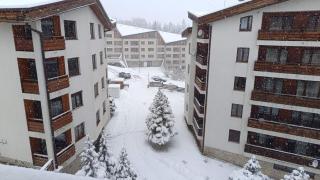 Studio Detelina Residence - Bansko - 1