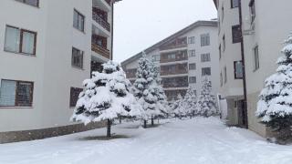 Studio Detelina Residence - Bansko - 7