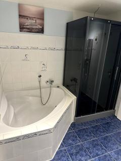 Large apartment for 3-11 guests in the Halle Leipzig Area - 7