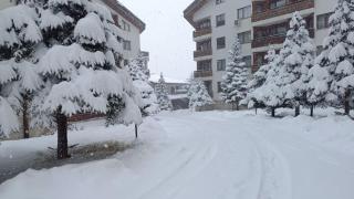 Apartment Detelina Residence - Bansko - 7