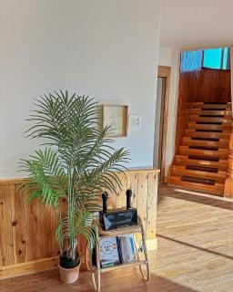 Seogwipo Classic - 3