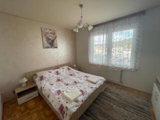 Stan na dan Ružica - Pale - 1
