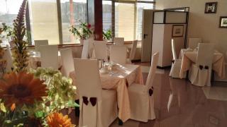 Hotel Alexander - Cesena - 0