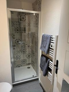 Appartement bien être à Colmar - Colmar - 7