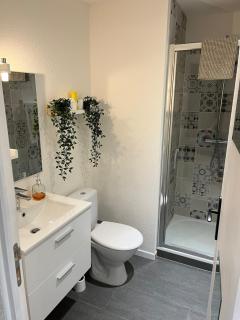 Appartement bien être à Colmar - Colmar - 6