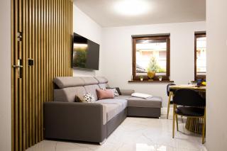 VisitZakopane - Szarotka Apartment - 9