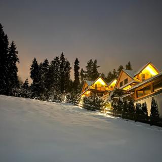 Dom na Zielonym Wzgórzu z własną Sauną i Jacuzzi - 9