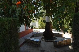 Fantástico chalet en Sevilla - 2