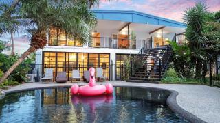 Tropical Grove - Palm Cove - 0