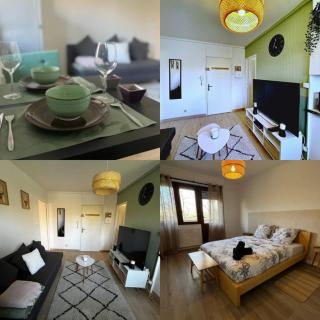 SOH Rent Strasbourg appartement wifi terrasse - Estrasburgo - 7
