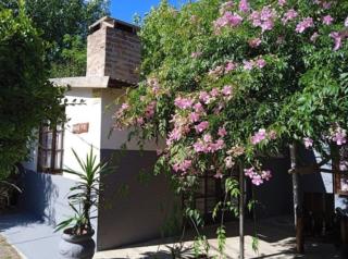 Agua de rio - San Luis - 8