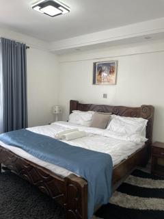 Heartland garden 2 bedroom - Nairobi - 2