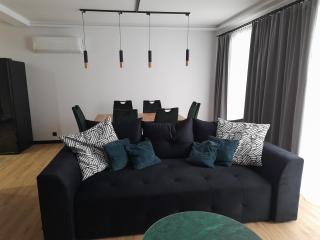 Nowy Luksusowy apartament z tarasem i ogrodem prywatny parking Żerniki - Gliwice - 2