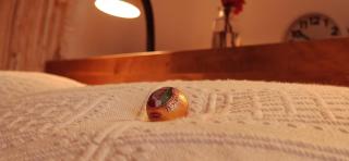Guest House with Garden Terrace - Free Parking - Vienne - 5