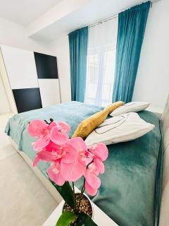 Chic city home - Timişoara - 0