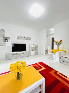 Chic city home - Timişoara - 8