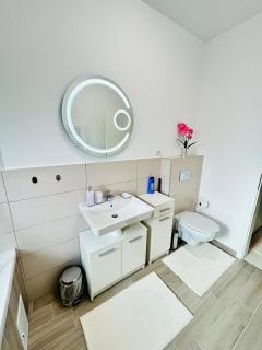 Chic city home - Timişoara - 7