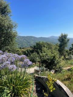 Alcmaria studio with amazing views! - Folhadosa - 5