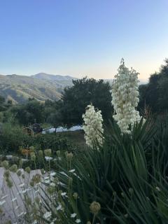 Alcmaria studio with amazing views! - Folhadosa - 6