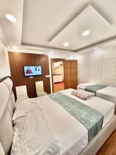 Hagia sophia Apartment Otel - Istambul - 7
