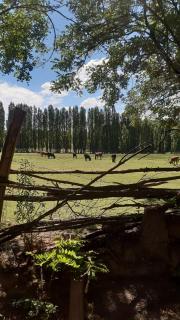 Camping Bella Vista - - 1
