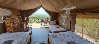 Cheetah tail camp - Mara Simba - 9