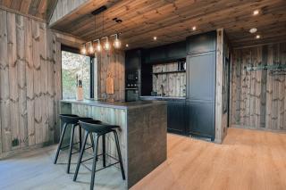 Modern Mountain Cabin - Outdoor Hot Tub - 8 Beds - Torpo - 3